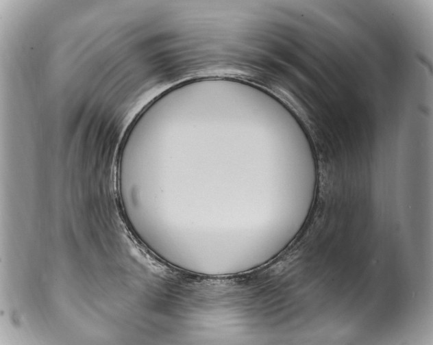 X0000099521044200806051206