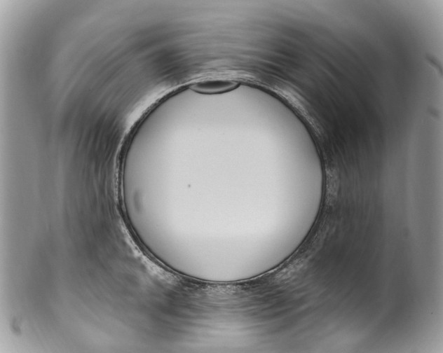 X0000099521046200806051206