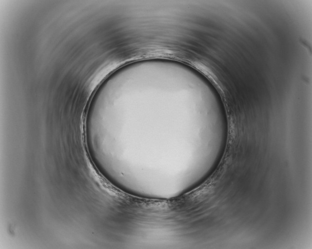 X0000099521047200806051206