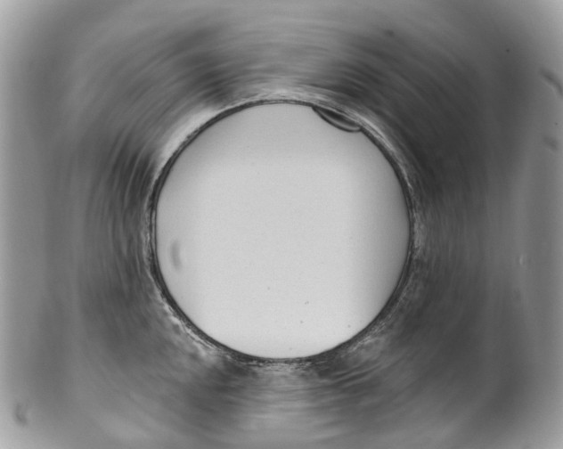 X0000099521048200806051206