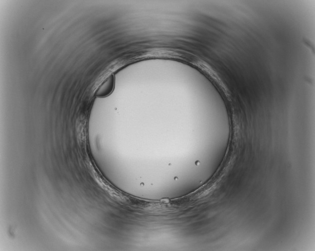 X0000099521049200806051206