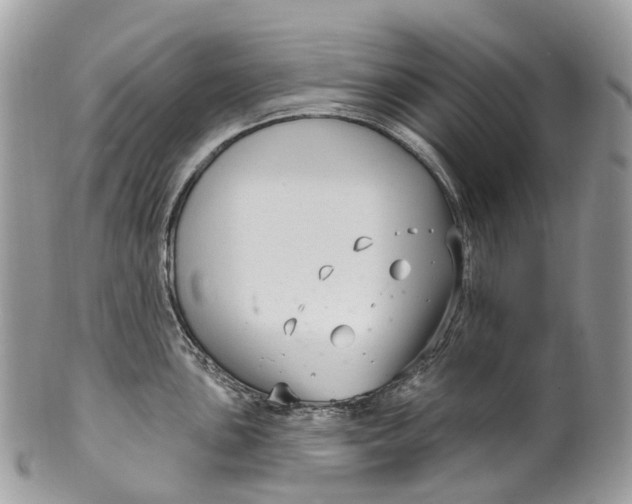 X0000099521051200806051206