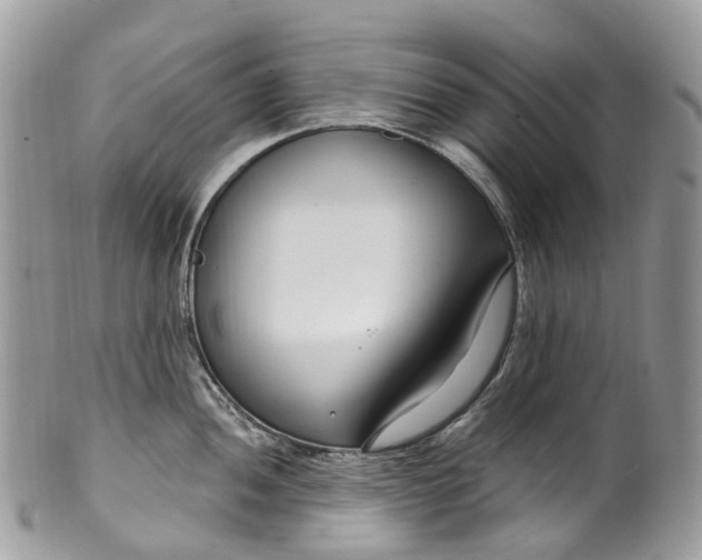 X0000099521052200806051206