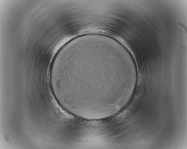 X0000099521053200806051206