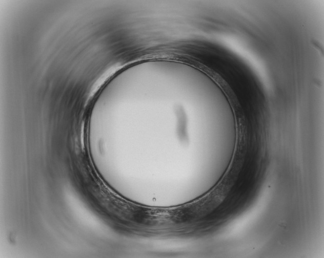 X0000099521054200806051206