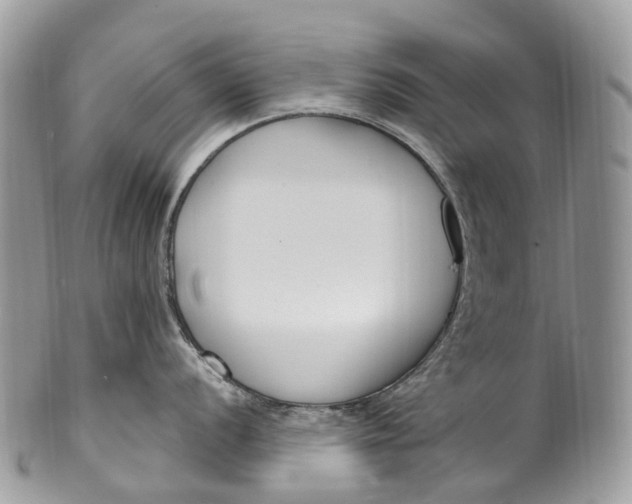 X0000099521056200806051206