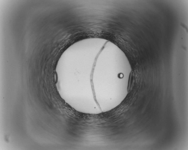 X0000099521057200806051205