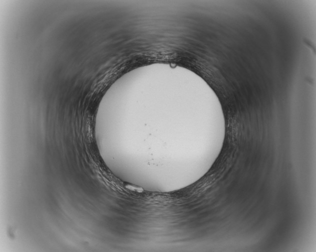 X0000099521058200806051205