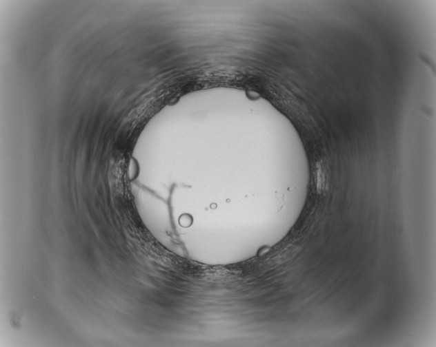 X0000099521059200806051205