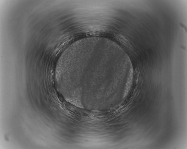 X0000099521060200806051205