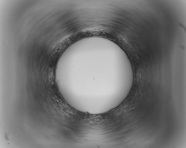 X0000099521062200806051205