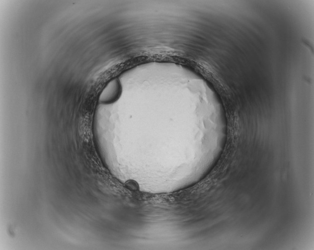 X0000099521063200806051205