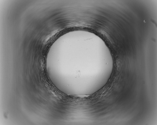 X0000099521064200806051205