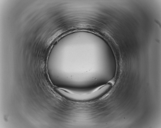 X0000099521065200806051205