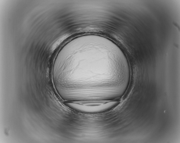 X0000099521066200806051205