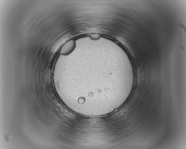 X0000099521067200806051205