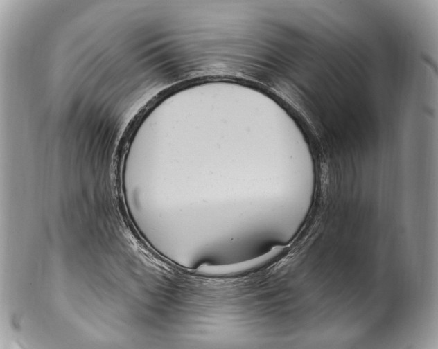 X0000099521068200806051205