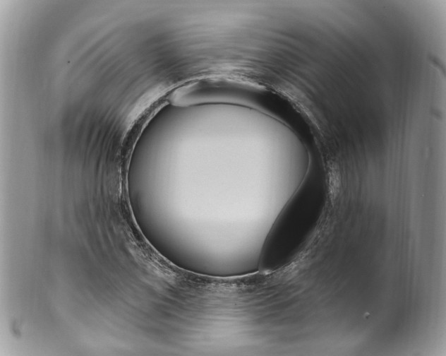 X0000099521069200806051205