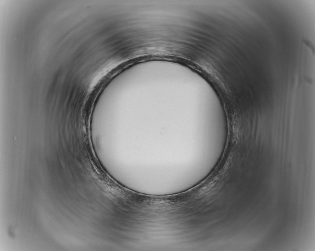 X0000099521070200806051205