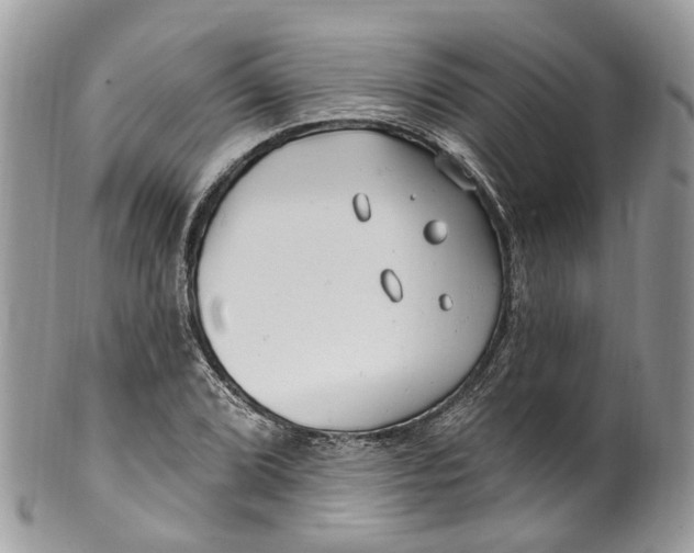 X0000099521072200806051205