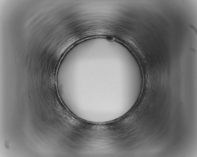 X0000099521073200806051205