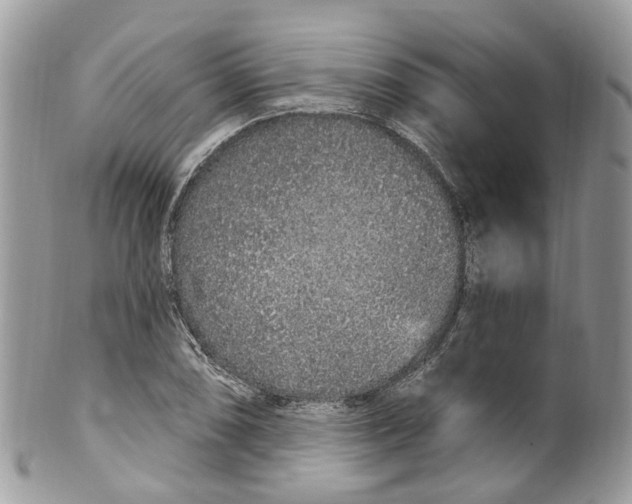 X0000099521074200806051205