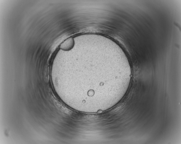 X0000099521075200806051205