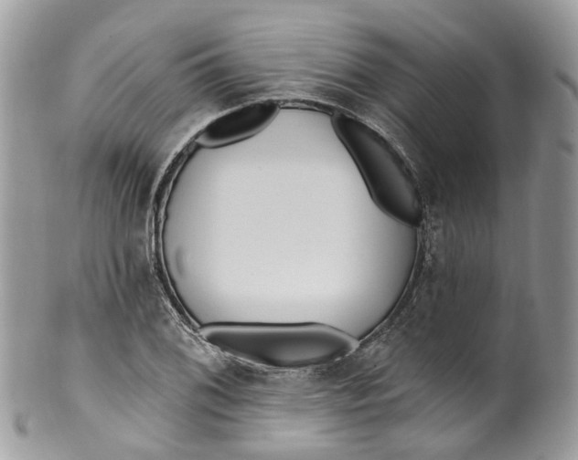 X0000099521076200806051205