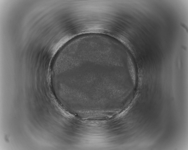 X0000099521077200806051205