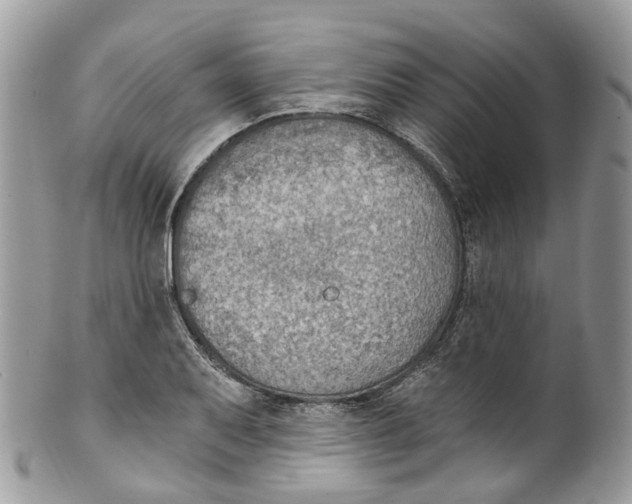 X0000099521079200806051205