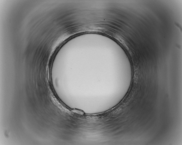 X0000099521080200806051205