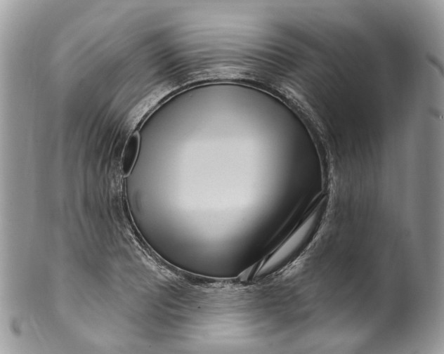 X0000099521081200806051205