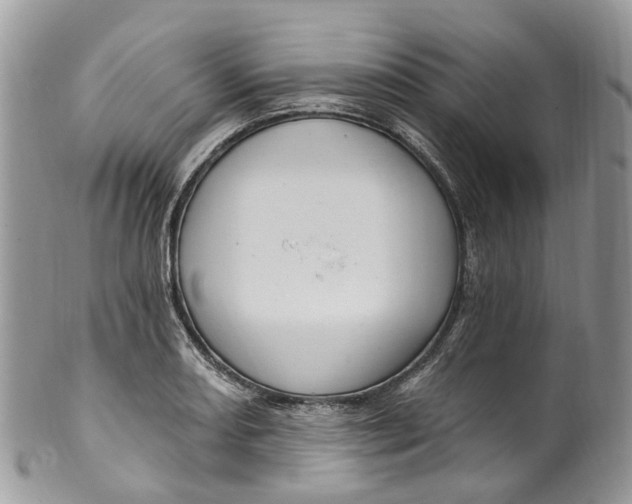 X0000099521082200806051205