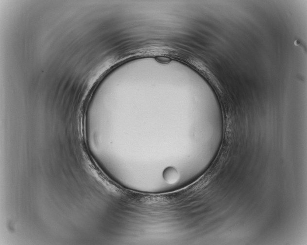 X0000099521083200806051205