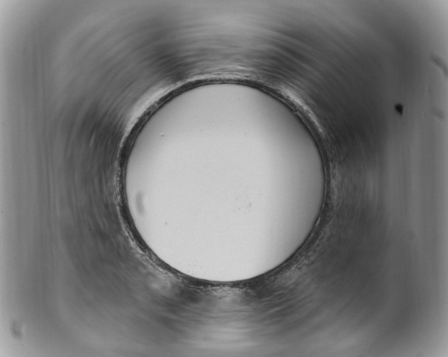 X0000099521085200806051205