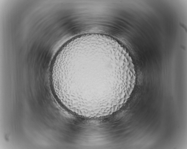 X0000099521086200806051205