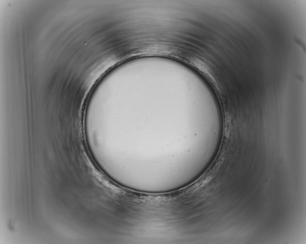 X0000099521087200806051205