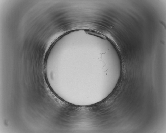 X0000099521088200806051205