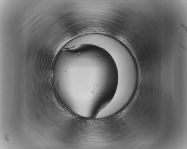 X0000099521089200806051205