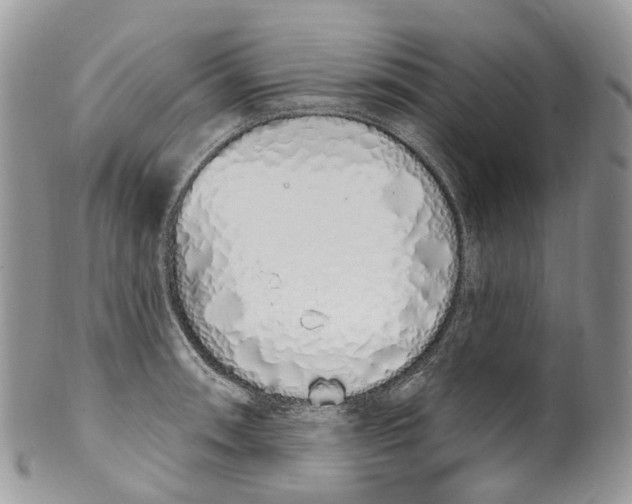 X0000099521090200806051205