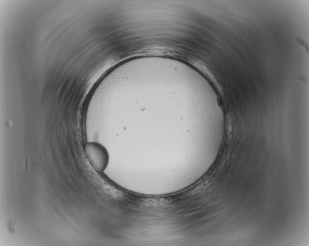 X0000099521091200806051205