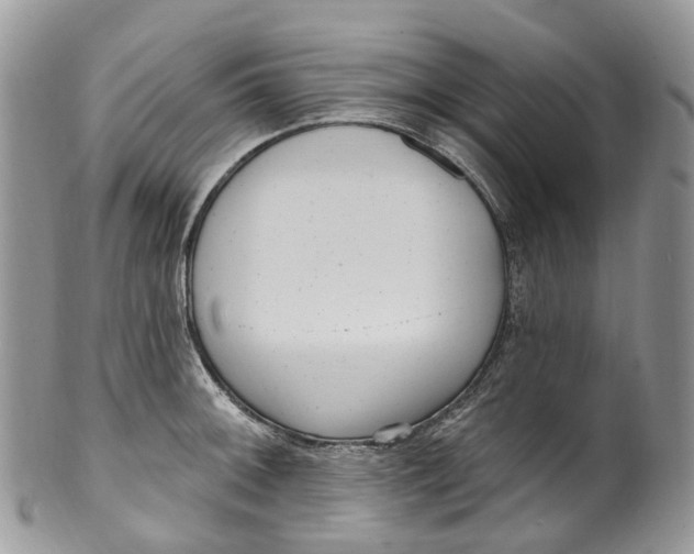 X0000099521092200806051205