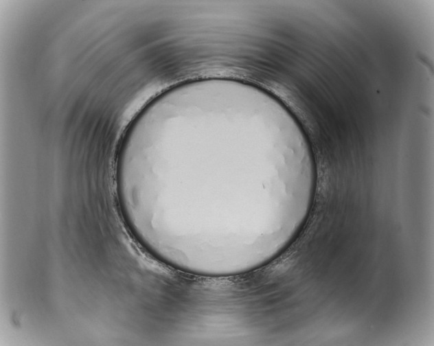 X0000099521094200806051205