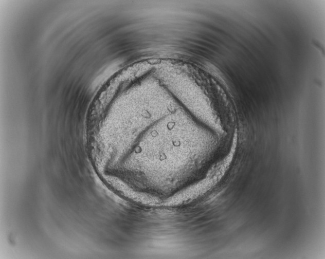 X0000099521095200806051205