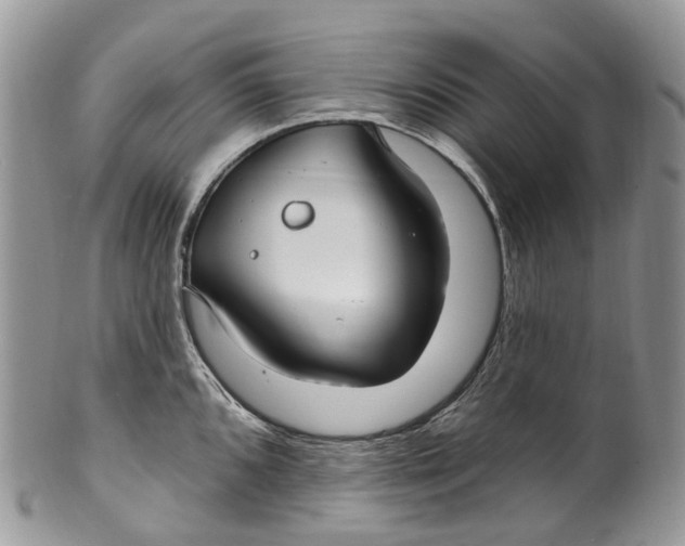 X0000099521096200806051205