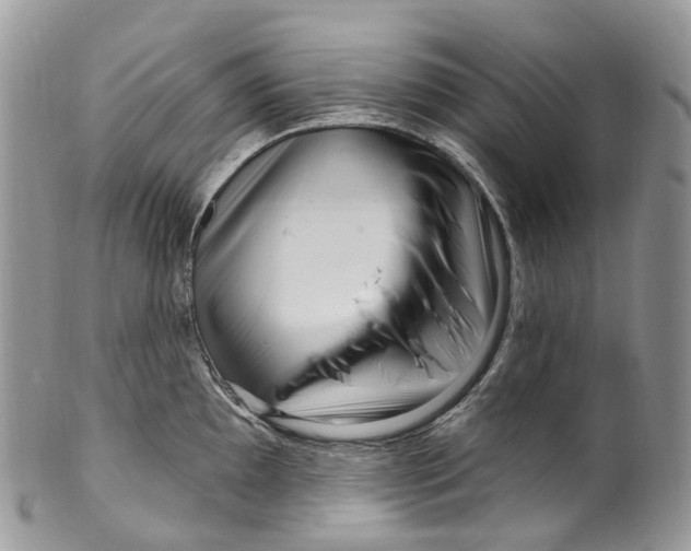 X0000099521097200806051205