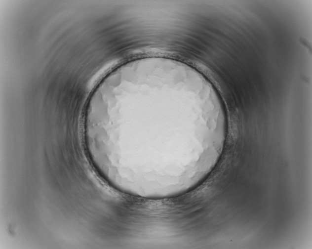 X0000099521098200806051205