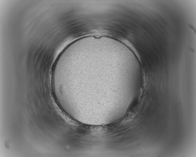 X0000099521099200806051205