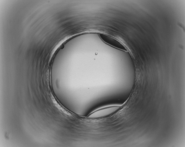 X0000099521100200806051205