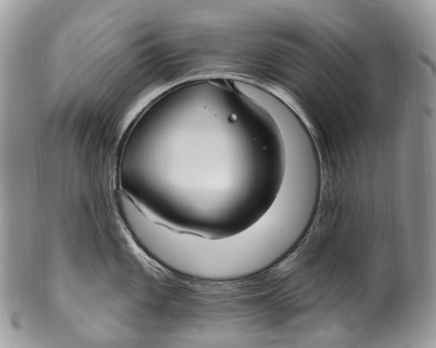 X0000099521101200806051205